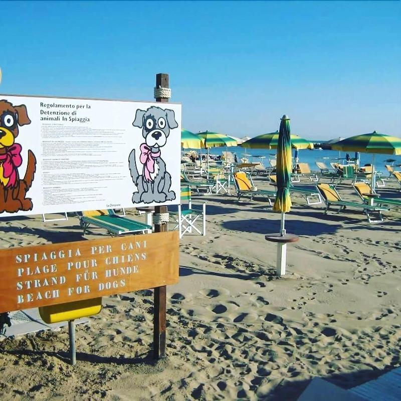 Hotel Alsen Rimini Exterior foto